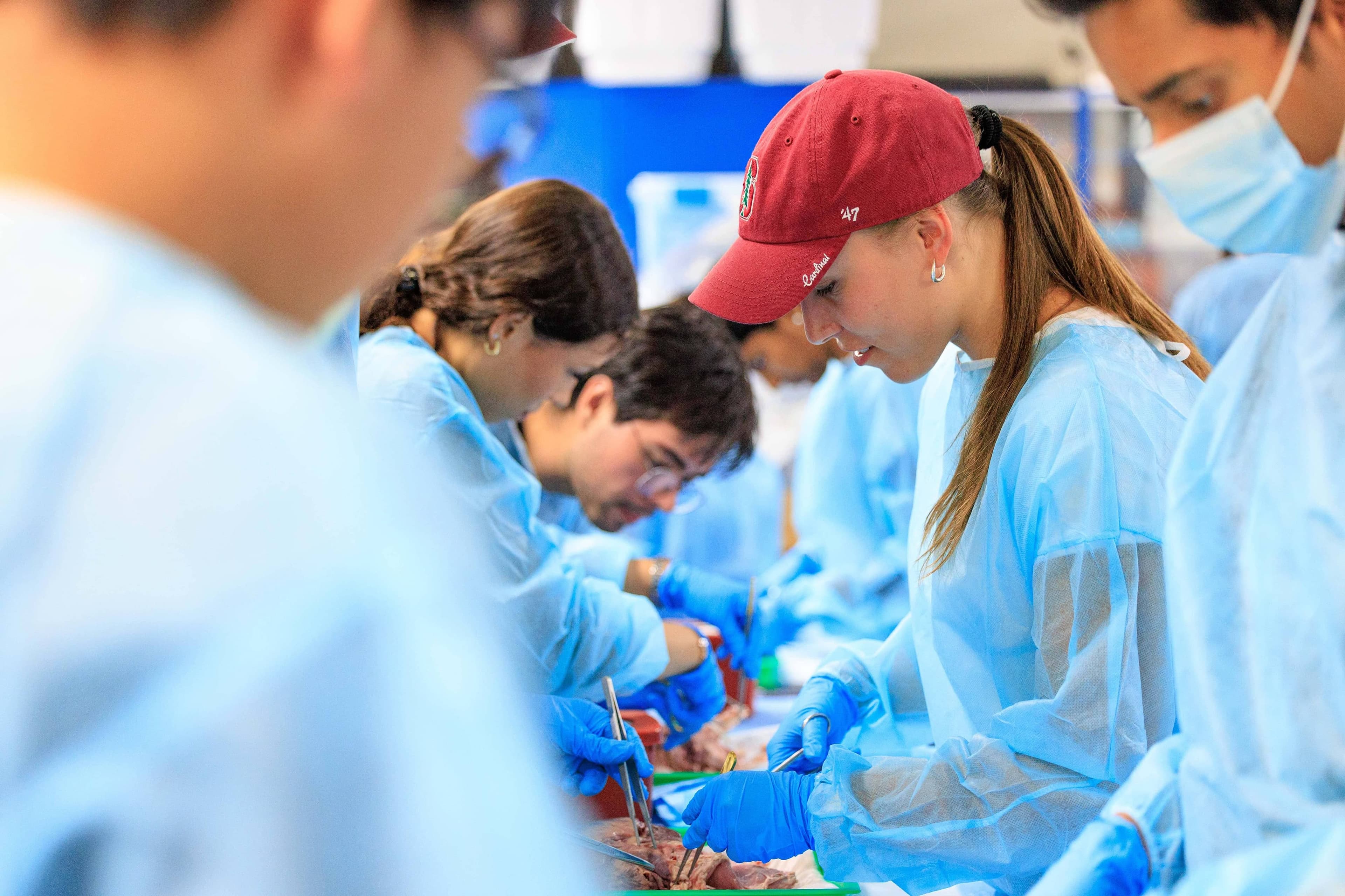 Students practice surgical techniques as part of Intro to Medicine Bootcamp.